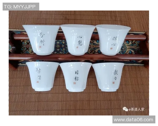 飘逸杯:扬帆启航,探索无尽可能