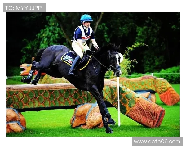 马术三项赛总成绩解析与选手表现评估的全面分析与展望